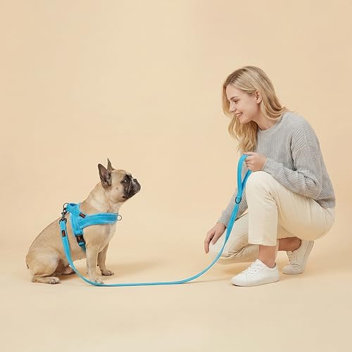 Didog Soft Flannel Padded Dog Vest Harness, No Pull/Quick Fit Reflective Dog Strap Harness, Easy for Training Walking (S:Chest 18-22", Blue) - color: Blue, size: S:chest 18-22"