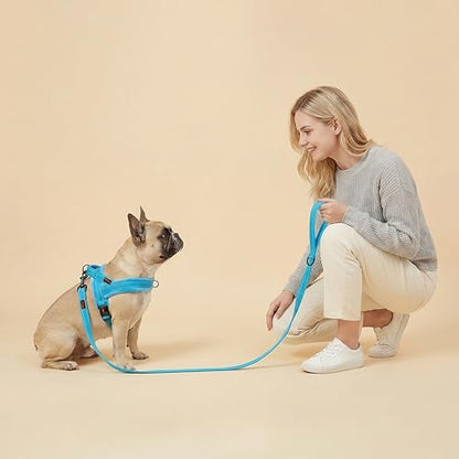 Didog Soft Flannel Padded Dog Vest Harness, No Pull/Quick Fit Reflective Dog Strap Harness, Easy for Training Walking (S:Chest 18-22", Blue) - color: Blue, size: S:chest 18-22"