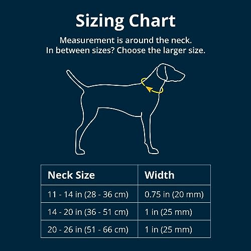 Ruffwear, Chain Reaction Dog Collar, Adjustable Reflective Martingale Escape-Proof Collar with Stainless Steel Chain, Professional Training Control, Blue Pool, 20"-26" - color: Blue Pool, size: 20"-26"