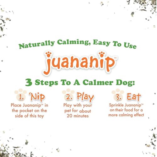 Doggijuana Cafe Combo Refillable Juananip Toy Bundle | Grilled Cheese & Corn Dog | Funny Dog Toy Plush with Catnip and Refill | Interactive Chew for Play - style: Grilled Cheese & Corn Dog