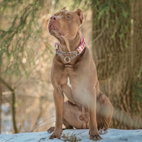 Strawberry Martingale Dog Collar with Chain -Reflective No-Pull Dog Collar, Adjustable Choker Collar for Medium,Large & XL Dogs (Large) - color: 14, size: L(Neck15"-22")