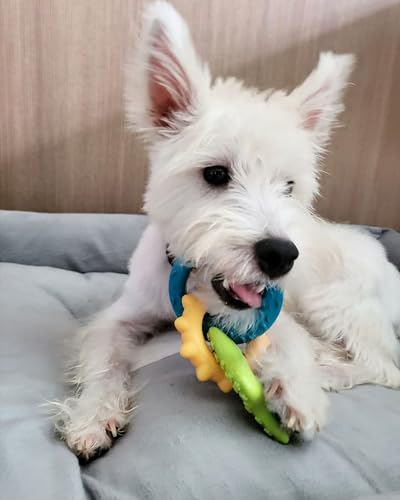 Nylabone Teething Rings Puppy Power Chew Toy for Puppies, Soothing Puppy Teething Bone, Enrichment Toy for Puppies, Bacon Flavor, Small Dogs - Up to 25 Ibs, 1 Count - color: Rings
