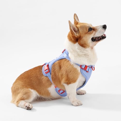 HNS1002E Arlo Medium Adjustable Soft Padded No Pull Pet Harness with 3 Buckles and 3 Leash Clips, Sangria - color: Periwinkle, size: Medium (Chest: 18 - 28")