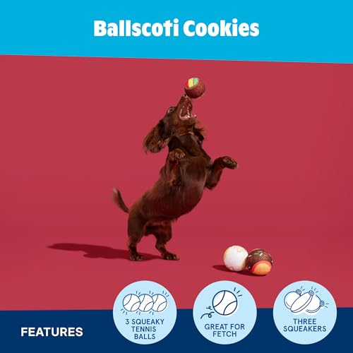 Barkbox Ballscoti Cookies Rubber Tennis Balls for Dogs & Puppies | Italian-Inspired Trio of Squeaky Fetch Balls for Bounce, Chase & Play | Durable, Engaging & Fun for Playful Pups - color: Ballscoti