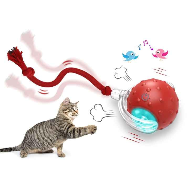 PetScope Interactive pet Toy for Indoor use with Motion Activated, Rechargeable, LED,Bird Sound Effects- Red - color: Red