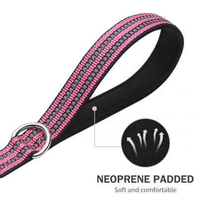 Hikiko Heavy Duty Dog Leash Strong Two Padded Soft Handles Dog Leash for Medium and Large Dogs (Pink,6FT) - color: Pink, size: 1 in x 6 ft