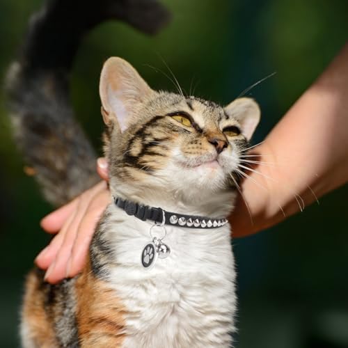 Leather Personalized Breakaway Cat Collar with Studded Bell and Safety Quick Release Buckle - Rivets Studded ID DIY Collars for Boy Girl Cats Kittens, 9" - 11.5" Black - color: Black, size: 9"-11.5"