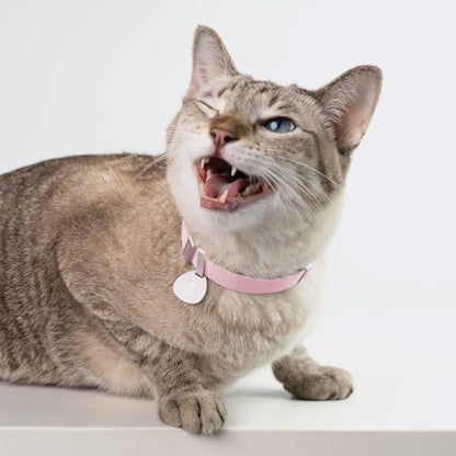 Safety Cat Collar Pro - U.S. IDA Gold Awarding Design, Elastic Quick Release Cat Collar with Buckle Non Breakaway - Lightweight for Kitten All Small Large Cats (Glacier Silver, S 5.9-11.8") - color: Glacier Silver, size: S 5.9-11.8"
