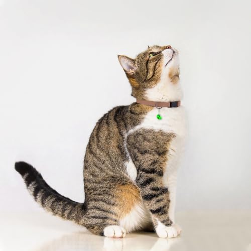 Breakaway Cat Collar with Bell - Leather Adjustable Kitten Collars with Safety Quick Release Buckle - Soft Small Pet Collars for Girl & Boy Cats (Mocha) - color: Mocha