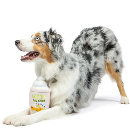 Huxley & Kent for Dogs - Matcha Pee Latte (Small) - Funny Durable Power Plush Dog Toy with Squeaker - Dog Gift - size: Small, style: Matcha Pee Latte