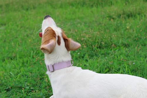 Mikivery Nylon Dog Collar with Quick Release Buckle Soft Adjustable Sturdy for Small Medium Large Dogs Violet,L - color: Violet, size: L：17.5"-25.5"