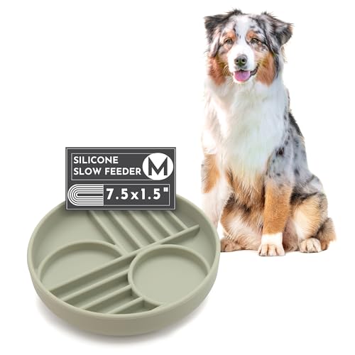 Should We Go? Slow Feeder for Dogs & Puppies, The Slowdown Bowl Silicone Slow Eating, Modern Lick Mat Design, Reduces Gulping, Fits 2 Cups, 7.5” Across x 1.5” Tall, Mealtime Challenge, Medium-Sage - color: Sage - Sunset Design, size: Medium (7.5” Across x