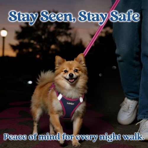 rabbitgoo Dog Harness Small Sized and Leash Set, Step-in Breathable Pet Harness, Soft Walking Reflective Puppy Vest for Small Dogs, Blue & Rose Red, XXS - color: Blue & Rose Red, size: XXS (Chest: 12.4 - 14.2")