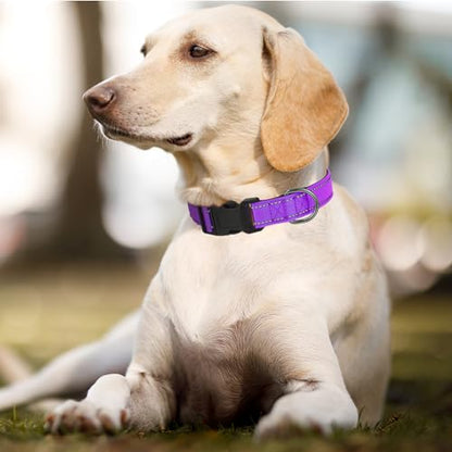 Dog Collars Adjustable for Small Dogs,Heavy Duty Waterproof Dog Collar with Quick Release Buckle,Girl Boy Female Male Reflective Nylon Dog Collar with Soft Neoprene Padded,S,Purple - color: Purple, size: Small