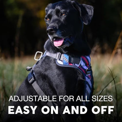 Embark Adventure Small Dog Harness – No-Pull, Reflective Trim, Military-Grade Nylon, Front Clip with Gel-Lined Handle - color: Maverick, size: S