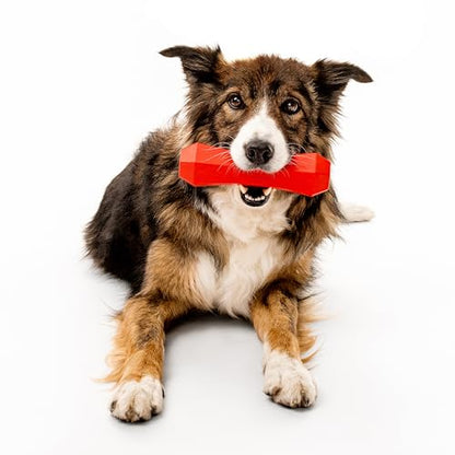 Playology Dog Toys | Squeaky Chew Stick for Large Dogs | Beef Scented Jumbo Fetch Toy | Squeaky Dog Chew Toy - size: Jumbo, style: Beef