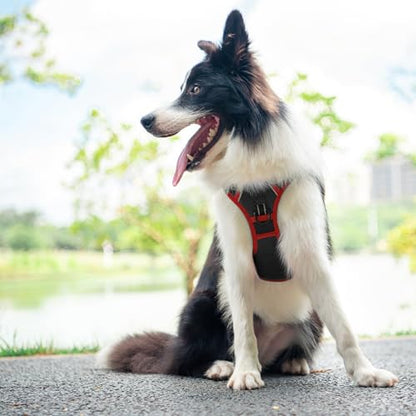 PHOEPET 2019 Upgraded No Pull Dog Harness, Reflective Adjustable Vest, with a Training Handle + 2 Metal Leash Hooks+ 3 Snap Buckles +4 Slide Buckles(XL, Black) - color: Black, size: Extra Large