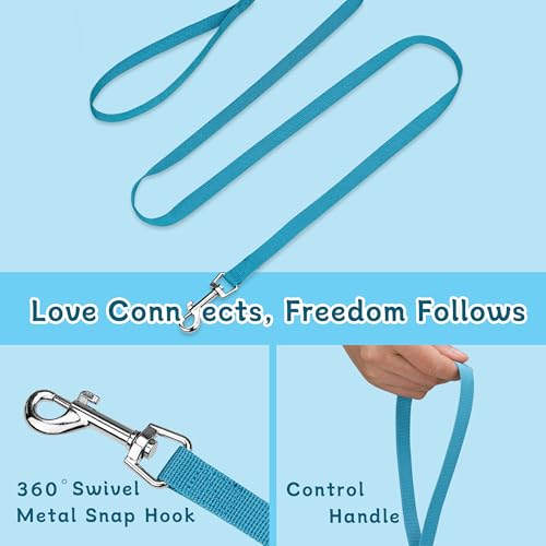 Small Dog Harness and Leash Set, Reflective Soft Breathable Mesh Vest, 3 Buckles, Adjustable Neck and Chest,Step in Dog Harness for Walking, Running, Training, Turquoise, XS - color: Turquoise, size: X-Small