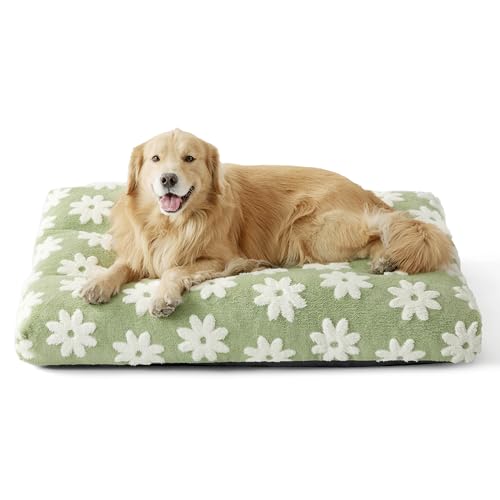 LE SURE Extra Large Dog Bed-Thick Shredded Chopped Foam Pet Bed Indoor with Removable Cover, Cute Modern Fuzzy Plush & Anti Slip Bottom, Green - color: Green, size: 44.0"L x 32.0"W x 4.0"Th
