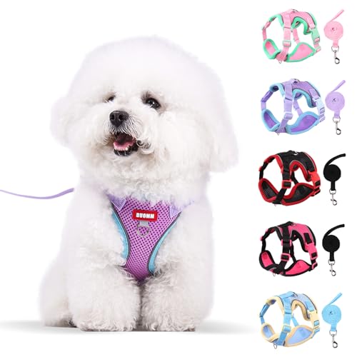 Coppthinktu Dog Harness with Leash Set for Small Sized Dogs Cats, No Pull Dog Harness Soft Mesh Cat Puppy Harness, Adjustable Reflective Step-in Pet Vest Harnesses for Outdoor Walking Training - color: Purple, size: Small