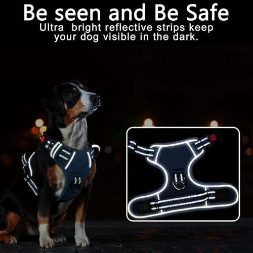 Dog Harness Small Sized, No Pull Pet Harness with Neck Lockable Snap,No Choke Front Clip Dog Reflective Vest,Adjustable Metal Rings 3 Buckles,Easy Control Handle for Small Dogs Royal Blue S - color: Lock Royal Blue, size: Small (Pack of 1)