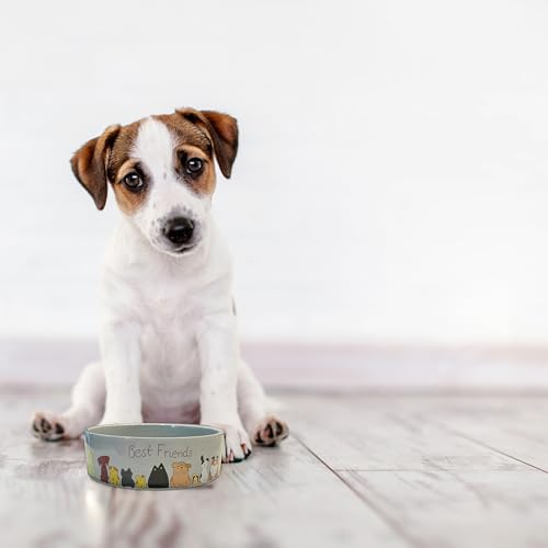 SPOT Best Friends Pet Food Dish - Food or Water Ceramic Bowl for Pets, Ideal for Small Dogs, Dishwasher Safe, 1.75 Cups (14oz) Capacity - 5in, Light Grey - size: 5 inch