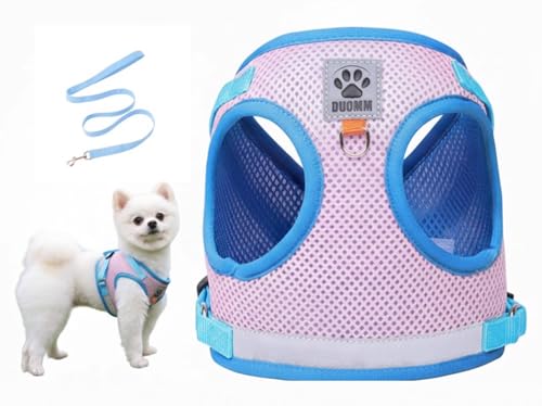Pet Harness Vest with Leash for Small Medium Dogs Cats-No Pull Step-in Pet Vest Breathable Soft Lightweight Harness and Leash Set for Puppy Kitty Bunny-Pink-XL - color: Pink, size: X-Large