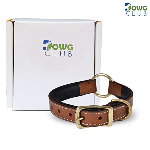 | Genuine Leather Adventure Dog Collar | Full Grain, Heavy Duty | With inner Cushioned padding | Best for Medium, Large & XL Dog (Medium (Fit Neck Size 14.5"-18.5"), Brown With Center O Ring) - color: Brown With Center O Ring, size: M (Fit Neck Size 14.5"