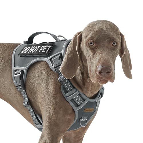 AUNZO Gray Tactical Dog Harness for Large Dog Breeds, No Pull Adjustable Pet Harness with Handle, Reflective K9 Military Service Dog Vest for Walking Hiking Training, Gray, XL - color: Gray, size: Extra Large