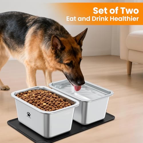 URPOWER 1.65 Gallon Large Dog Water Bowl, 2 Pack Thickened Stainless Steel Dog Water & Food Bowls with Non-Slip Mat, Spill-Proof Metal Pet Bowl Set for Medium, Large, X-Large Dogs, Indoor/Outdoor Use - size: 1.65 Gallon