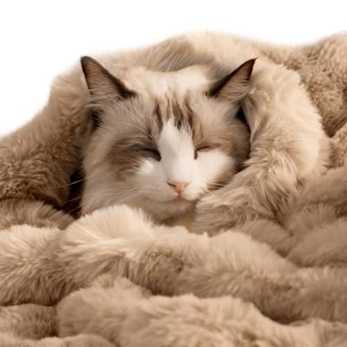 Pet Blanket, Reversible Sherpa & Bubble Fleece Pet Throw, Ultra-Soft Plush for Cats & Small Dogs, Machine Washable, Anti-Static, Warm & Cozy,28"×22" Inch Coffee - color: Coffee, size: 28"L x 22"W Inches