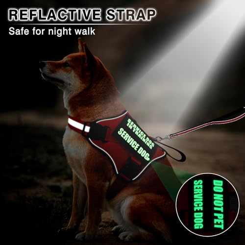 Service Dog Vest Harness and Leash Set+10 Patches,No Pull&Adjustable Reflective Dog Harness with Soft Padded Handle for Training/Everyday,Fit Small/Medium/Large/Extra-Large Dogs(Red L) - color: Red, size: Large