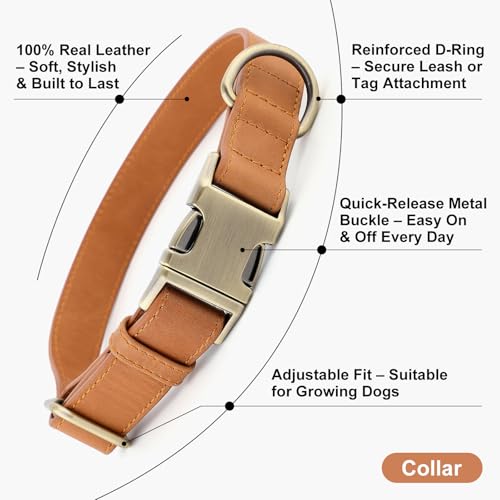 Plutus Pet Genuine Leather Dog Collar – Adjustable Pet Collar with Quick Release Metal Buckle, Soft Real Leather for Small Medium Large Dogs, Heavy Duty & Skin-Friendly (Light Brown, S) - color: Light Brown, size: S