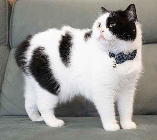 Cat Collar Breakaway Bowtie Safety with Bell Adjustbale Kitten Puppy Solid Plaid Color Set O-[2pcs] Denim - color: O-[2pcs] Denim