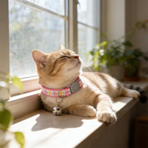 2 Pack Cat Collar with Bells, Pink White Flower Collars for Cats Breakaway Safety Buckle Girl Kitten Collars with Bells Cute Fancy Boy Female for XXS XS Tiny Little Puppy Pet Dogs,Neck 7-12 Inch - color: Pink+White