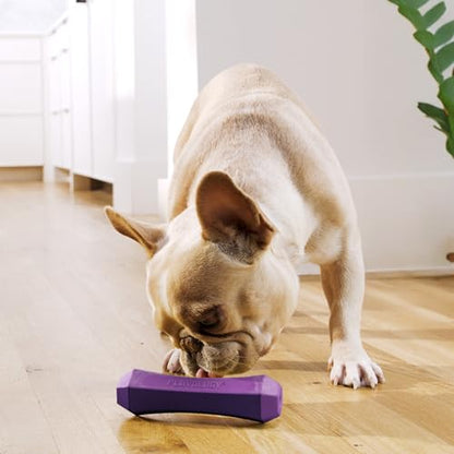 Playology Dog Toys | Squeaky Chew Stick for Dogs | Bacon Scented Medium Fetch Toy | Squeaky Dog Chew Toy - size: Medium, style: Bacon