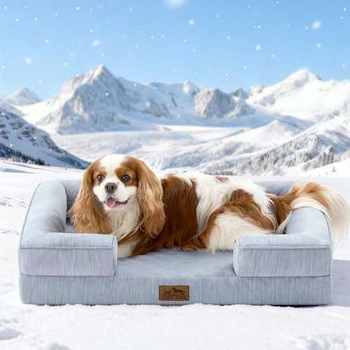 COZY KISS Cooling Dog Bed for Medium Small Size Dogs, Q-Max >0.4 Summer Cool Pet Bed, Orthopedic Foam Dog Sofa with Sides, Bolster Anti-Slip Couch with Washable Removable Cover, M 30x20x6 inch, Blue - color: Blue, size: 30x20x6 Inch