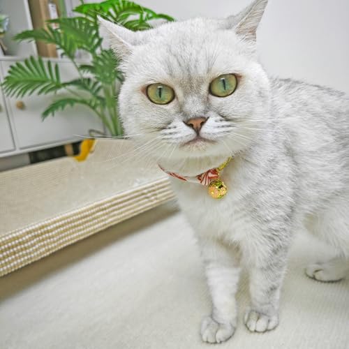 Breakaway Cat Collar with Chrysanthemum Bell, Cute Japaness Chirimen Kitten Collar for Girl and Boy Kitty - color: Black