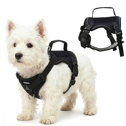 AIITLE Small Dog Harness No Pull, Reflective Adjustable Vest with Handle, No Choke Design, Dual Metal Leash Clips for Walking Training Running Camping, Small Medium Breeds - Black XS - color: Black, size: XS