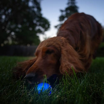 Outward Hound by Planet Dog Strobe Light Up LED Ball Dog Toy, Blue - color: Blue Strobe Toy