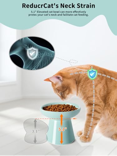 LoeJan Elevated Cat Food and Water Bowls Set, Extra Wide and Raised Ceramic Feeder, Anti-Vomit Whisker-Free Pressure Feeding Bowl for Kittens Adult Small Dogs (Blue, Food Bowl) - color: Blue, size: Single (Food Bowl)