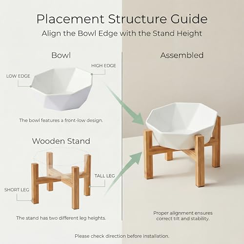 Ceramic Tilted Raised Cat Bowl - Elevated Food Bowl for Indoor Cats & Small Dogs - Shallow Wide Whisker-Friendly Design - Pet Dish Suitable for Feeding Dry, Wet, Treats & Canned Food - White - color: White with stand