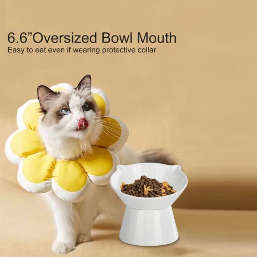 Detachable Elevated Cat Bowls, 15° Tilted Raised Cat Food Bowl Anti-Vomiting, Whisker Friendly, Adjustable Pet cat Dishes for Protecting Spine, Adult Kitten (White) - color: White