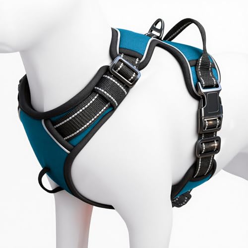 No Pull Dog Harness, No Chock Reflective Adjustable Soft Padded Pet Vest with Easy Control Handle, Easy Wearing with Stylish, Reinforced Knot, 2 Buckles - color: Frosted Aqua, size: X-Small