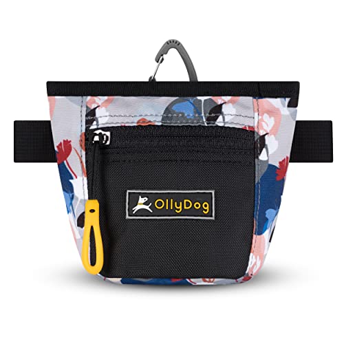 OllyDog Goodie Treat Bag, Dog Treat Pouch, Waist Belt Clip for Hands-Free Training, Magnetic Closure, Dog Training and Behavior Aids, Three Ways to Wear (Petals) - color: Petals