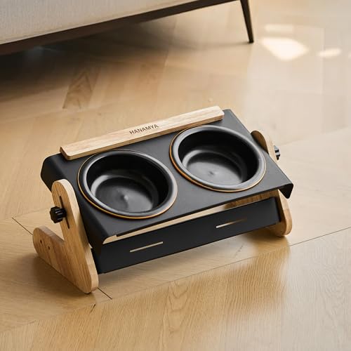 Pet Bowl Set with Ceramic Bowl and Iron-Wood Stand, Adjustable Height & Angle, Black
