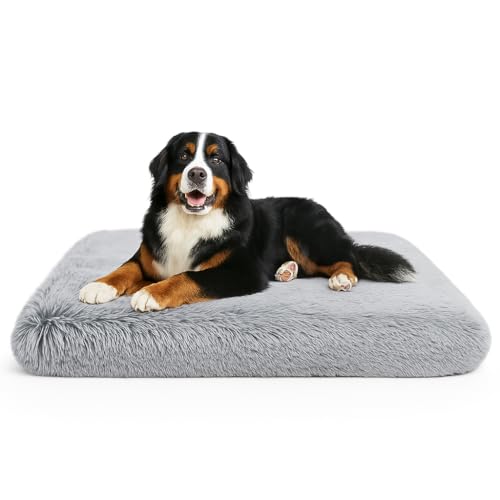 Dog Bed, pet beds (Large) - Premium Quality, Dog Bed, Washable & Portable, Multiple Sizes, Stylish Design, Removable Cover, Size Large(29.53 X 19.69 X 3.14) inch - size: Large