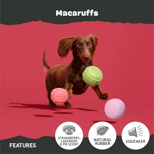 Barkbox Macaruffs | Plush Dog Toy Bundle for Small Dogs, Perfect for Cuddles and Gift Giving - style: Macaruffs
