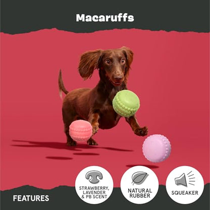 Barkbox Macaruffs | Plush Dog Toy Bundle for Small Dogs, Perfect for Cuddles and Gift Giving - style: Macaruffs