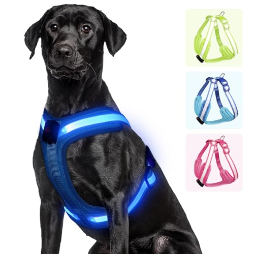 Light Up Dog Harness - LED Dog Harness Rechargeable, No Choke Illuminated Glow Dark Harness Vest Waterproof for Medium Large XL Dogs for Camping Night Safety Walking-Blue,M - color: Blue, size: Medium